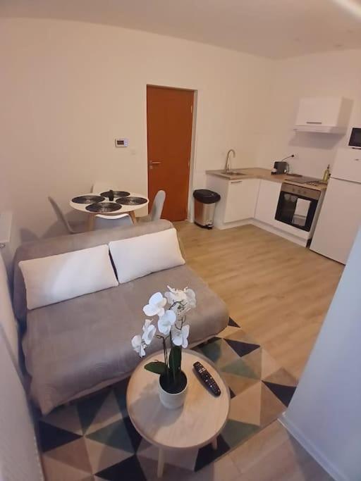 Appartement F1 Orchidee Mylhúzy Exteriér fotografie