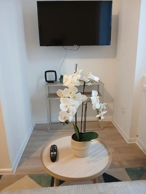 Appartement F1 Orchidee Mylhúzy Exteriér fotografie